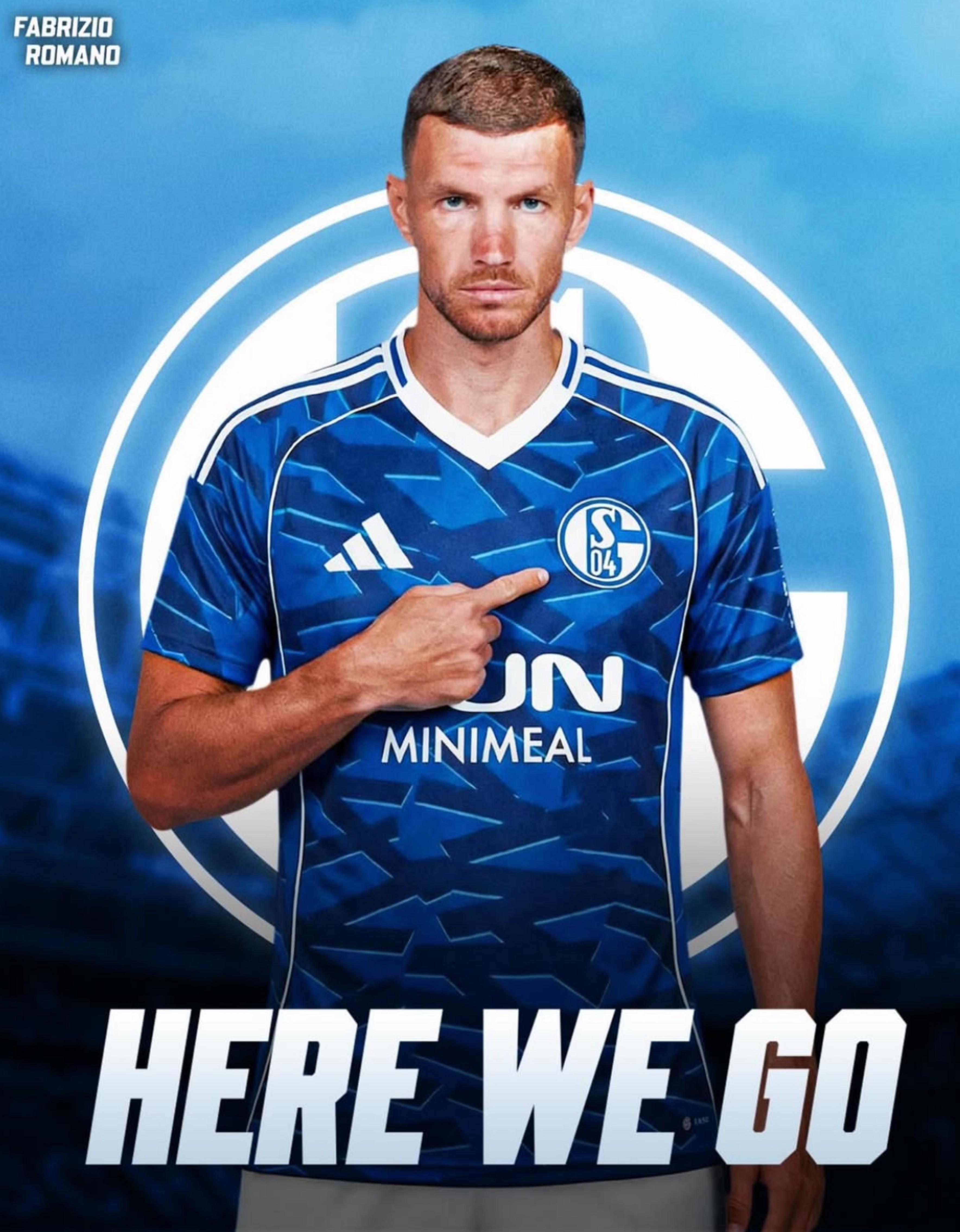 HWG！罗马诺：沙尔克就签下39岁前锋哲科达成协议