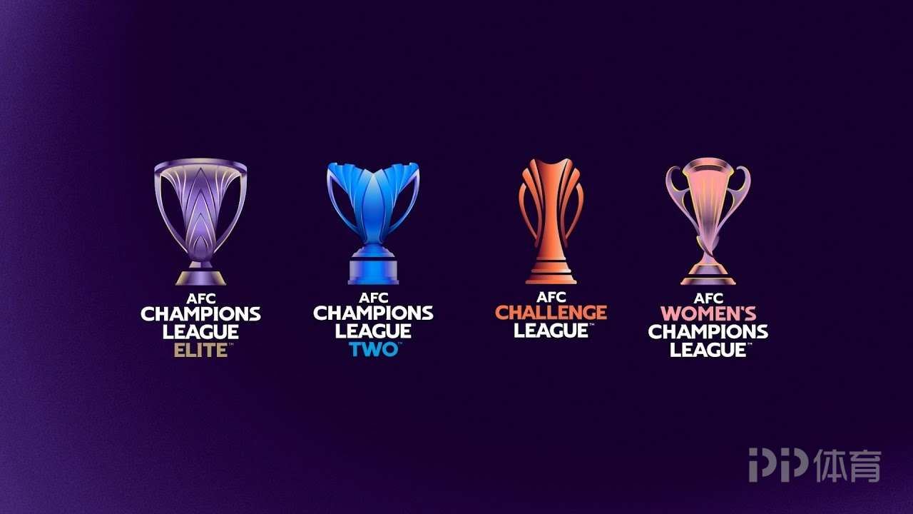足协确认下赛季参加亚冠队：海港亚冠精英 国安亚冠精英附加赛