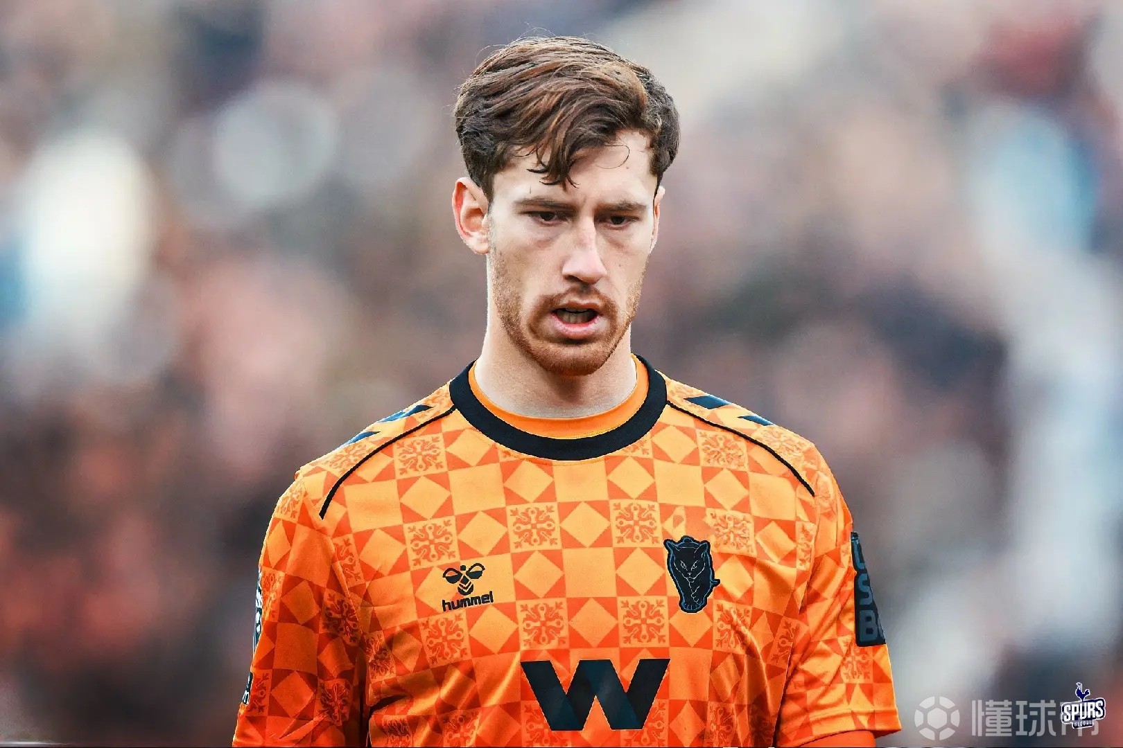  英媒：若维卡里奥离队，热刺考虑求购桑德兰门将罗埃夫斯