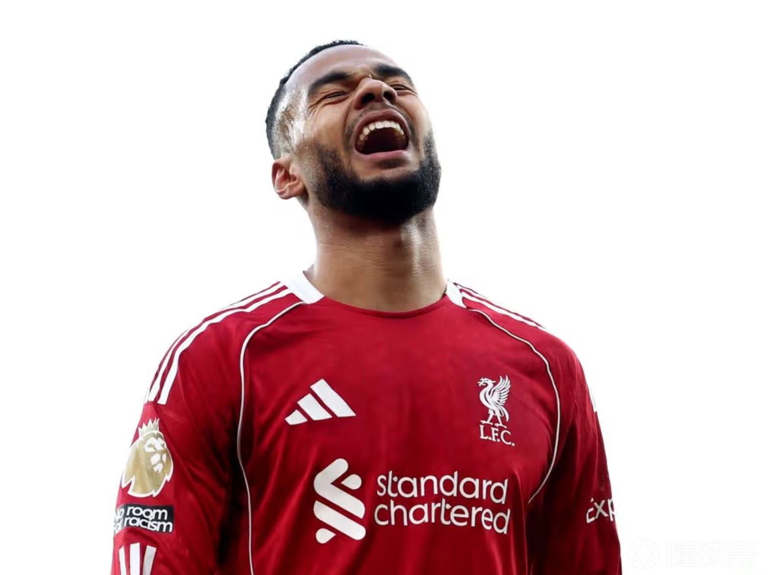 前曼联助教：加克波在利物浦很开心，但也有可能寻求新的挑战