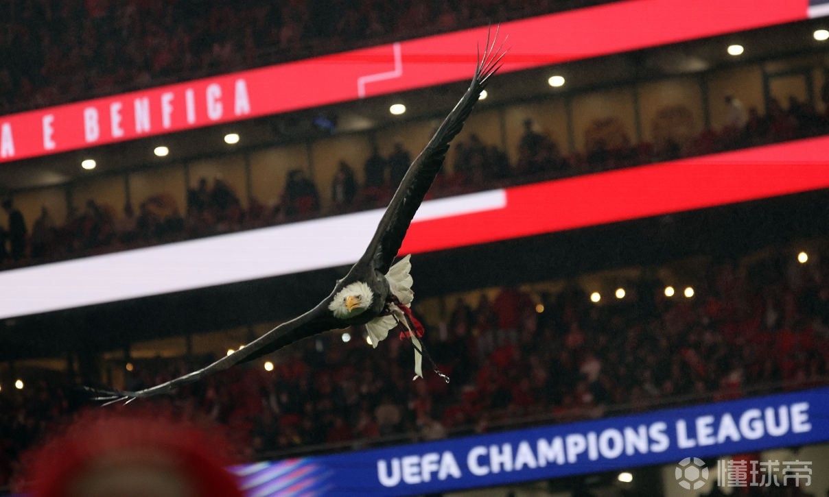 本菲卡官方声明：完全相信普雷斯蒂安尼，对其遭受诽谤表示遗憾