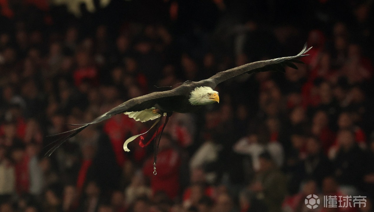 本菲卡官方：将对普雷斯蒂安尼被停赛提出上诉，但预计很难按时解禁