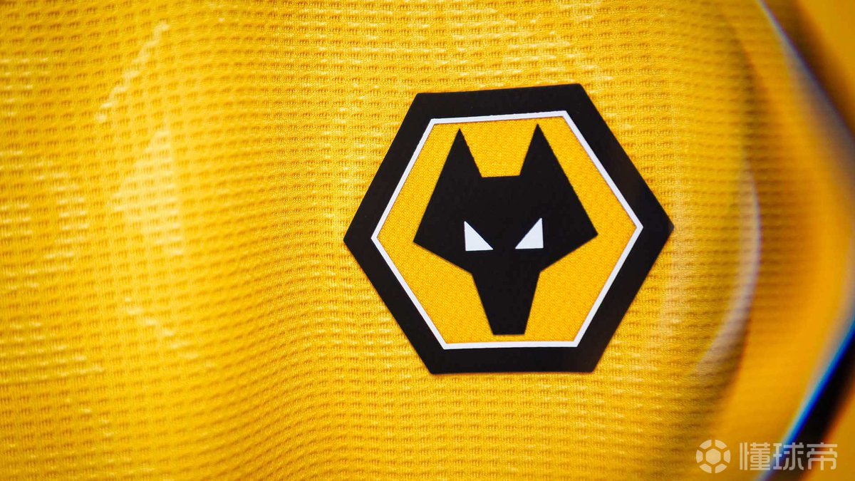 丢点后被种族歧视，狼队官方发声明支持阿罗科达雷