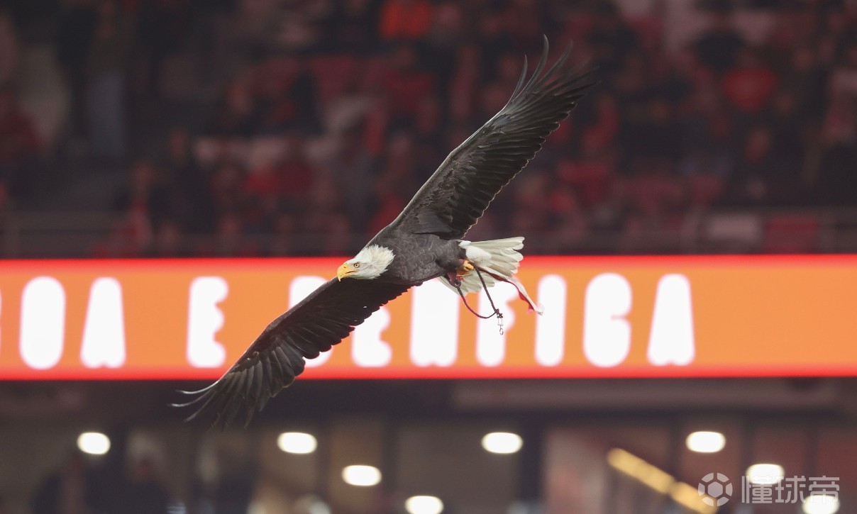 本菲卡官方：断然否认普雷斯蒂安尼曾承认歧视维尼修斯