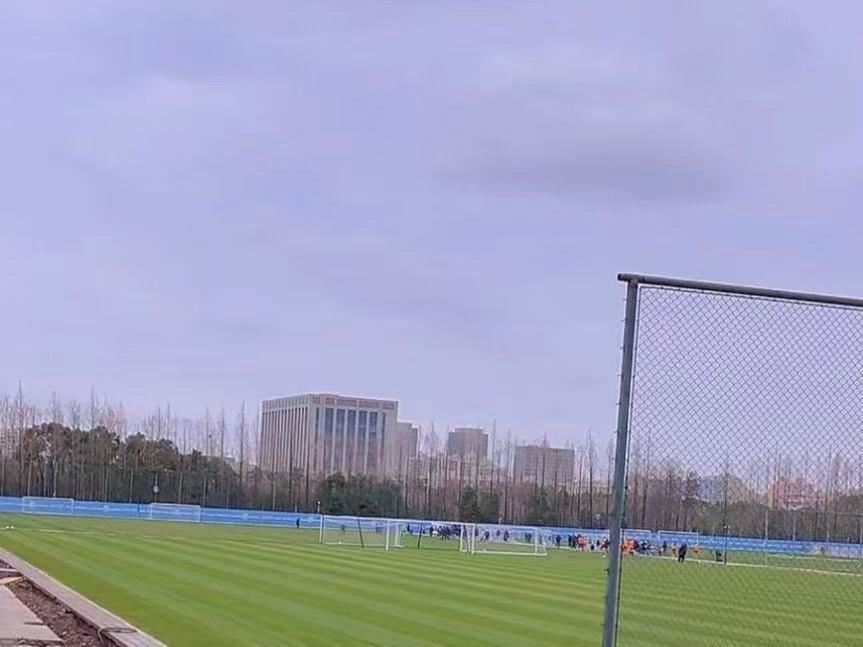 泰山2-9惨败申花！媒体人热议：心气还能剩多少，问题集中爆发